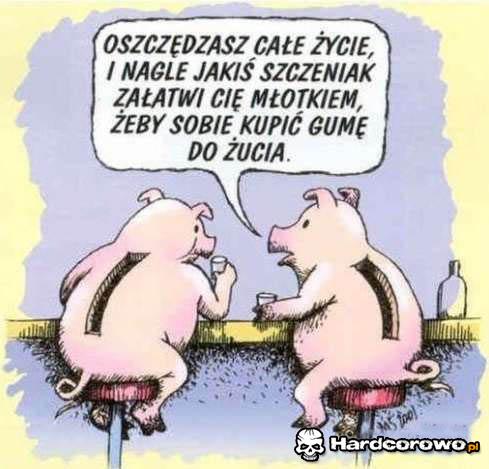 Guma do żucia - 1