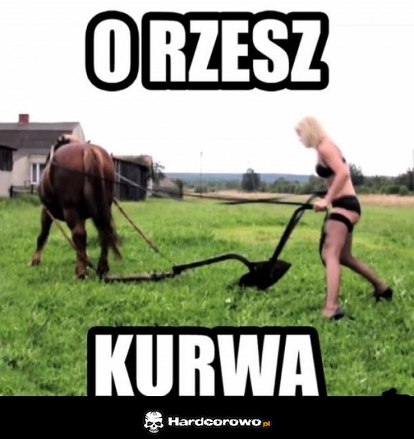 Jak orać to orać - 1