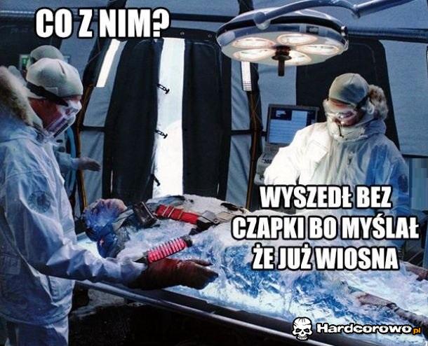 Głupich nie sieją - 1
