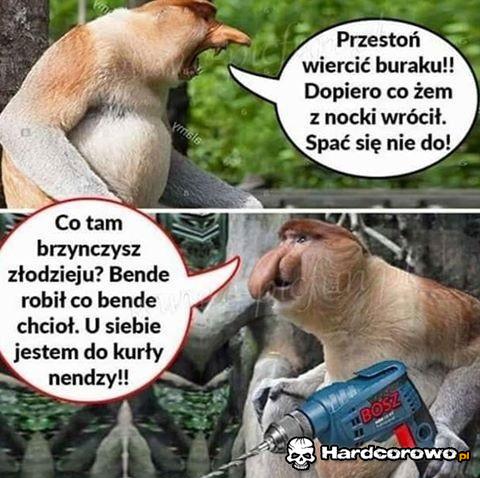 Wkurzony somsiad - 1