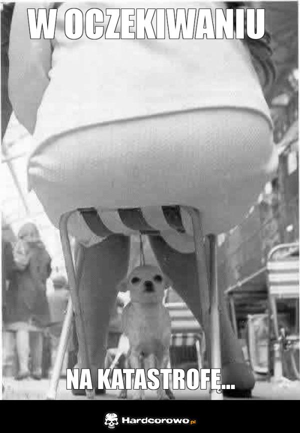 Katastrofa nadchodzi - 1