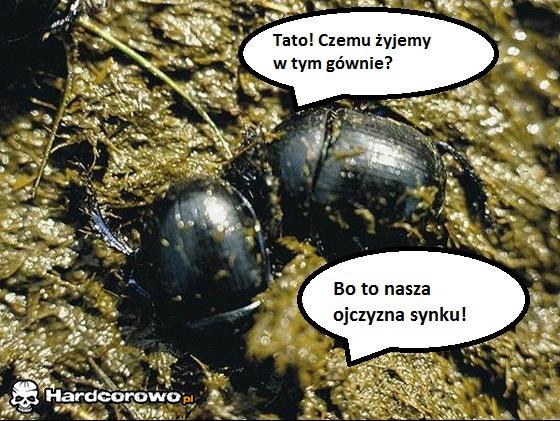 Tato! czemu żyjemy w tym głównie? - 1