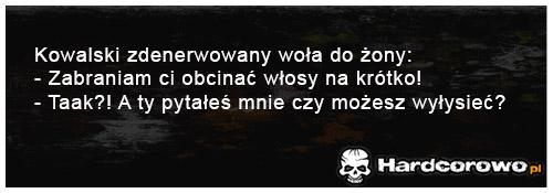 Kowalski zdenerwowany woła do żony - 1