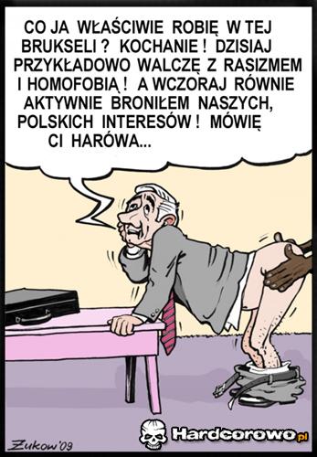 Ciężka praca euro(p)osłów - 1