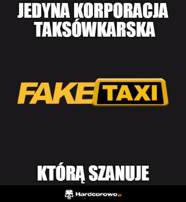 FakeTaxi - 1