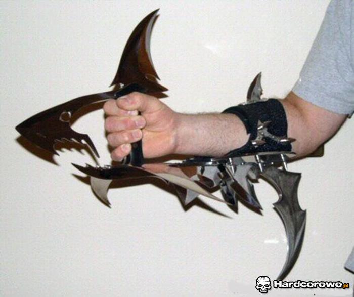 Rekin nożownik - 1