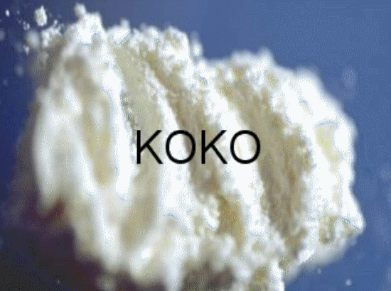 Koko koko Euro Spoko - 1