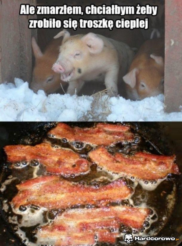 Spełniło się - 1