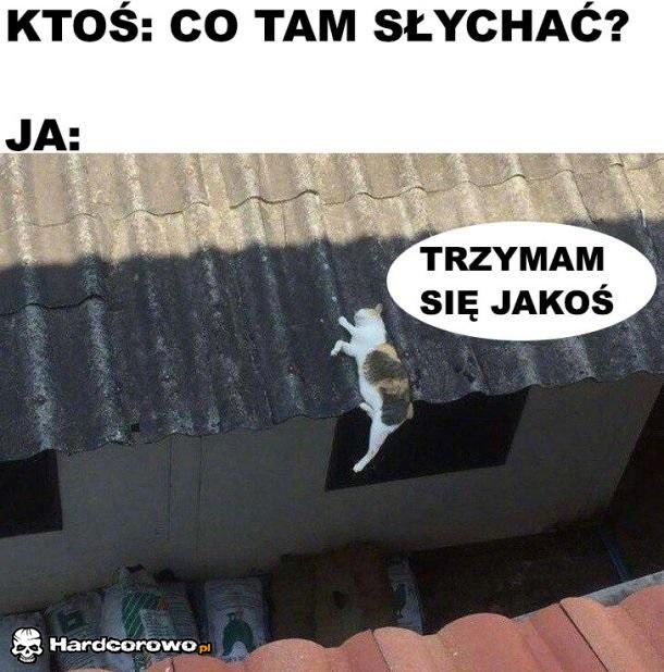 Ledwo, ale się trzymam - 1