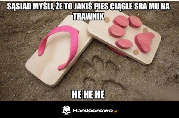 Srający pies - 1