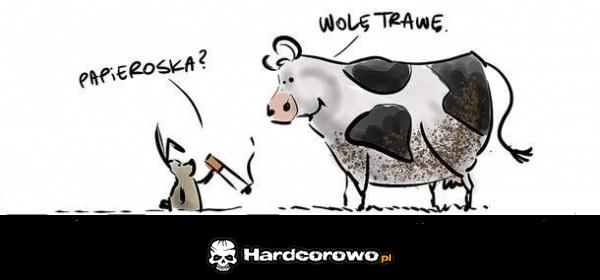 Papieroska? - 1
