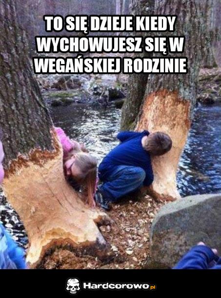 To się dzieje - 1