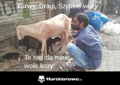 Lubi kózki - 1