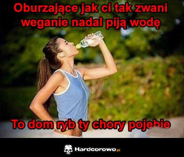 Oburzające - 1