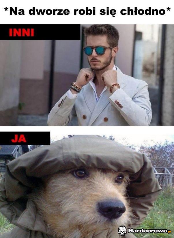 Kiedy robi się chłodno - 1