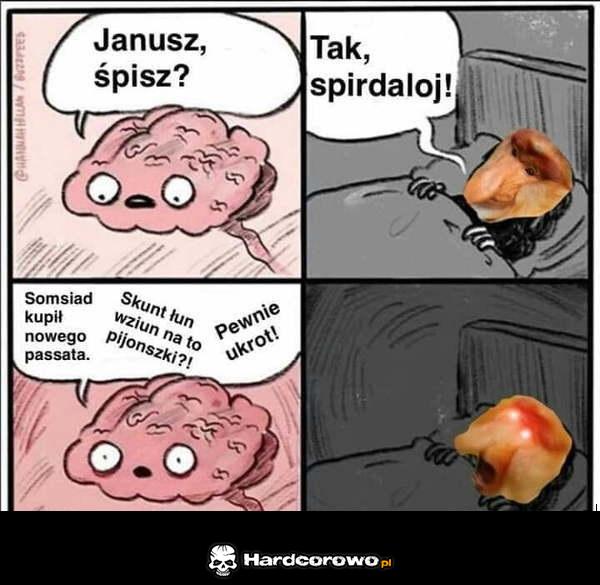 Janusz, śpisz? - 1