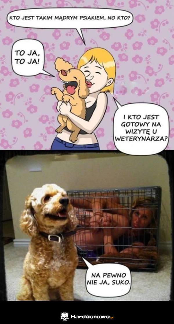 Wizyta u weterynarza - 1