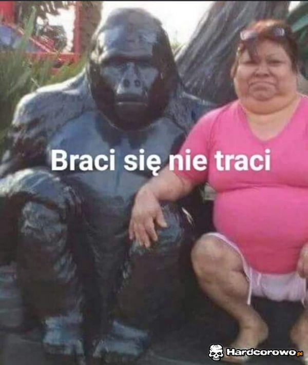 Braci się nie traci - 1