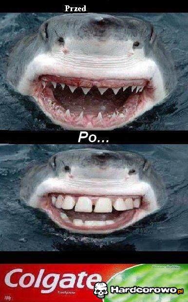 Colgate - 1