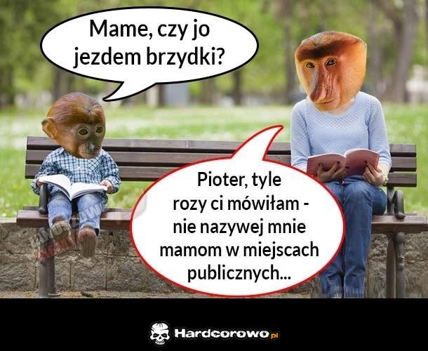 Pjoter pyta czy jest brzydki - 1