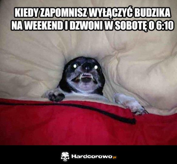 Kiedy zapomnisz wyłączyć budzika - 1