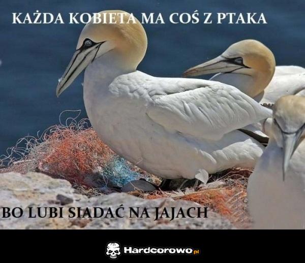 Każda kobieta ma coś z ptaka  - 1