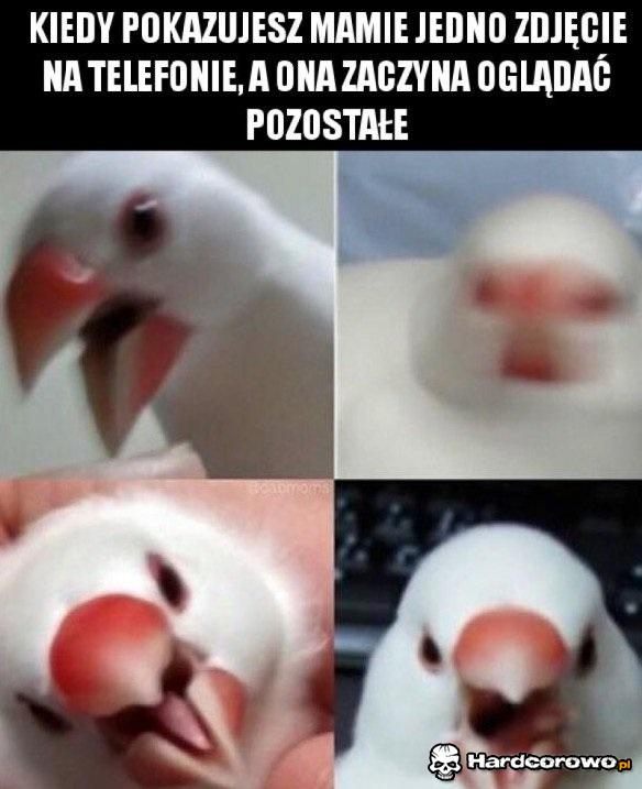 Fota na telefonie - 1