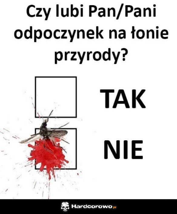 Odpoczynek - 1