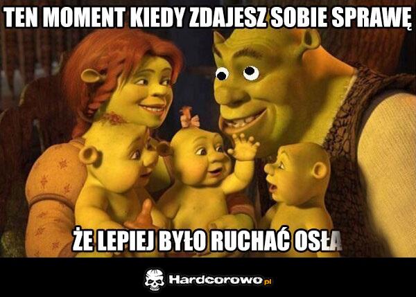 Shrek - 1
