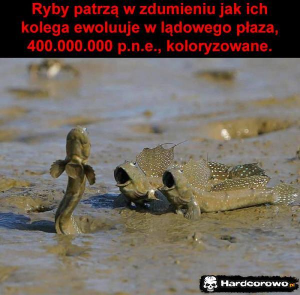  - 1