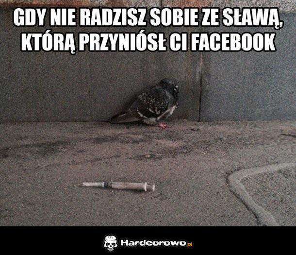 Gołąb z Facebooka - 1