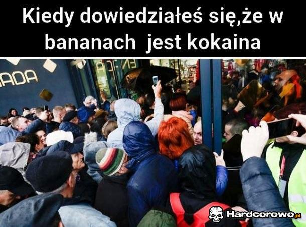 Kokaina w bananach - 1