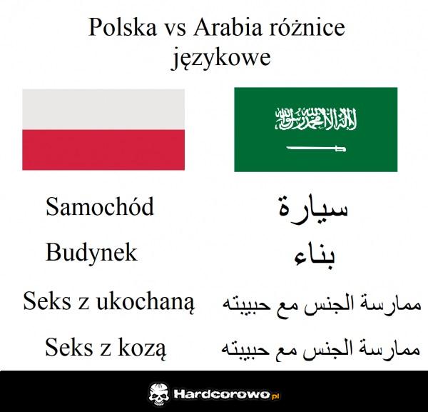Różnice językowe - 1