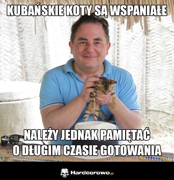 Kubańskie koty - 1