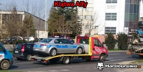 Klątwa alfy - 1
