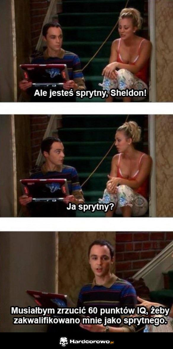 Sprytny Sheldon - 1