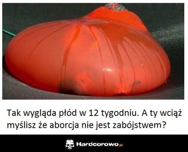 Płód - 1