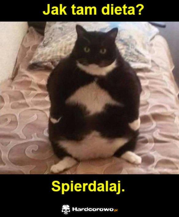 Dieta - 1