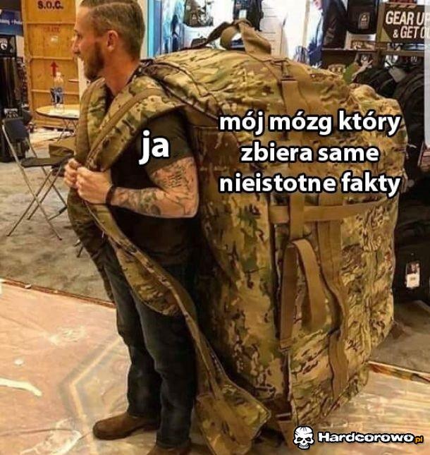 Mój mózg - 1
