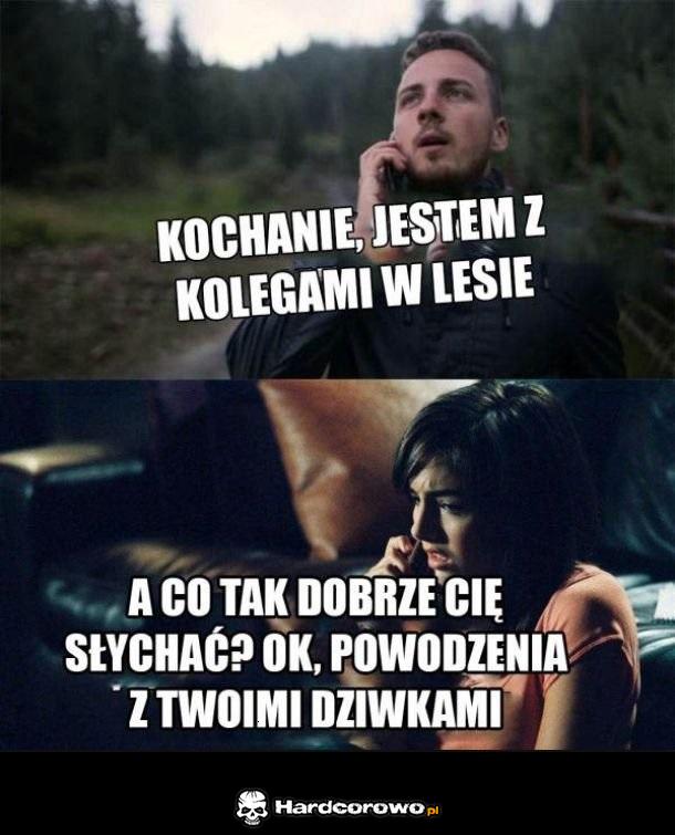 Typowa zryta laska - 1