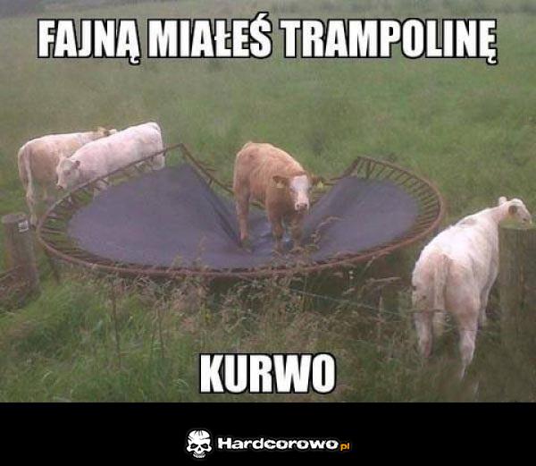 Fajną miałeś trampolinę - 1