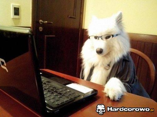 Pan profesor - 1
