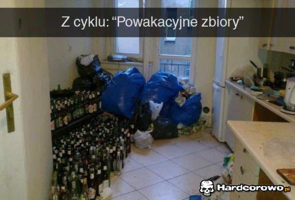 Z cyklu powakacyjne zbiory - 1