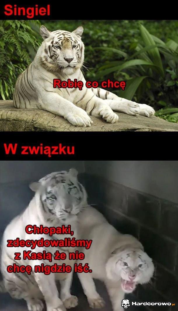 Tak to właśnie wygląda - 1