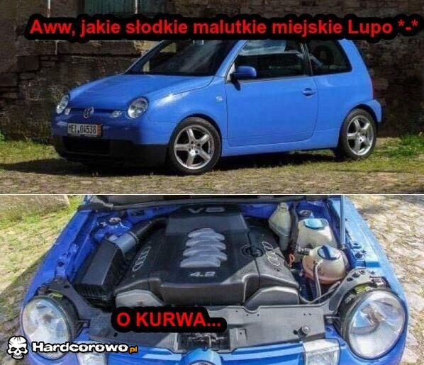 Miejskie lupo  - 1