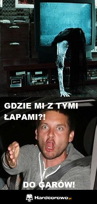 Gdzie mi z tymi łapami - 1