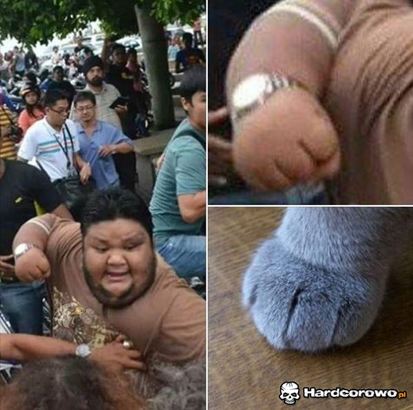 Kung Fu panda - 1