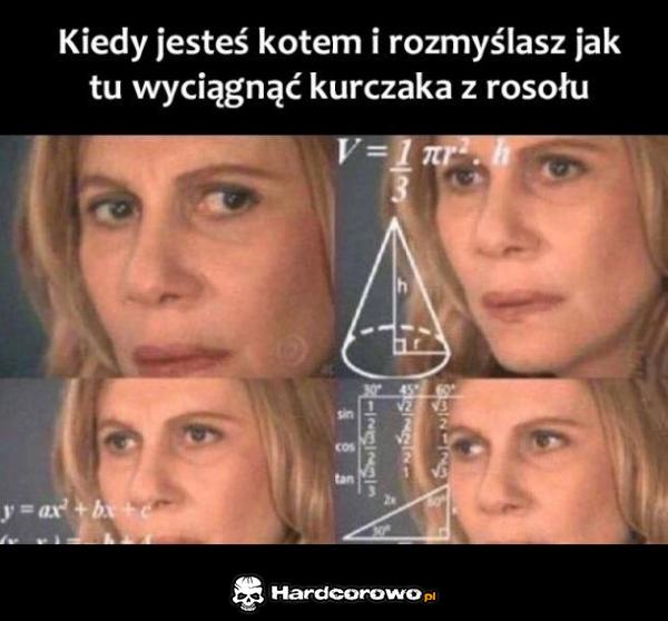 Kiedy jesteś kotem - 1