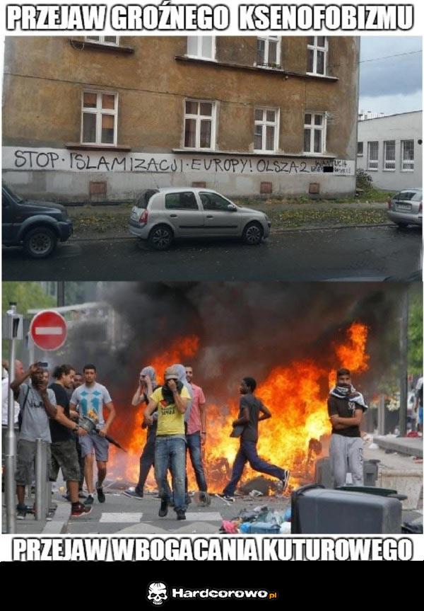 Różnica między ksenofobizmem a multikulturowością - 1