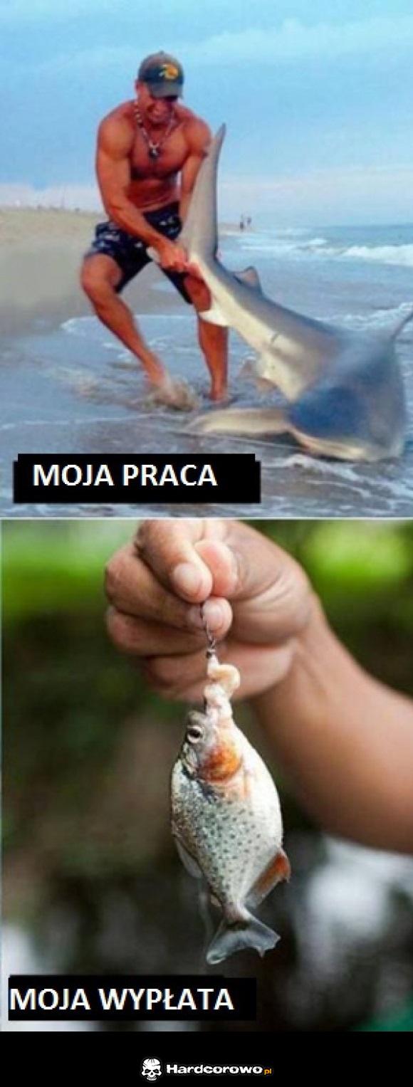 Praca i wypłata - 1